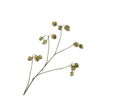 Hop Tak groen/roze 108cm