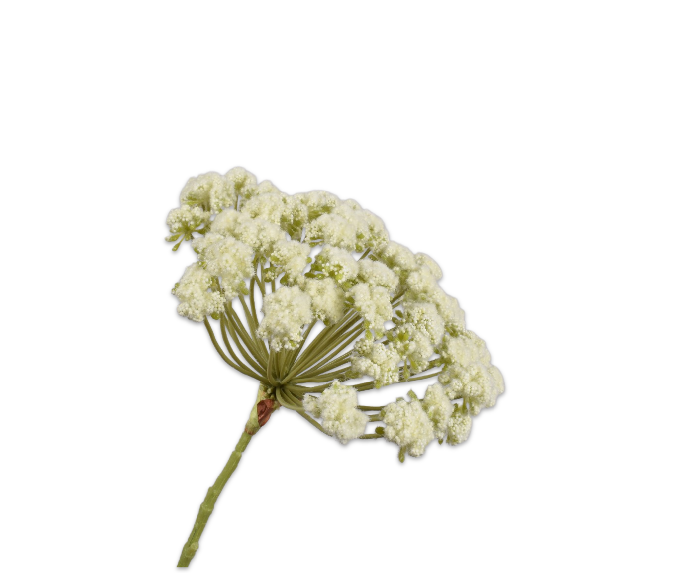 Dille Steel crème 85cm