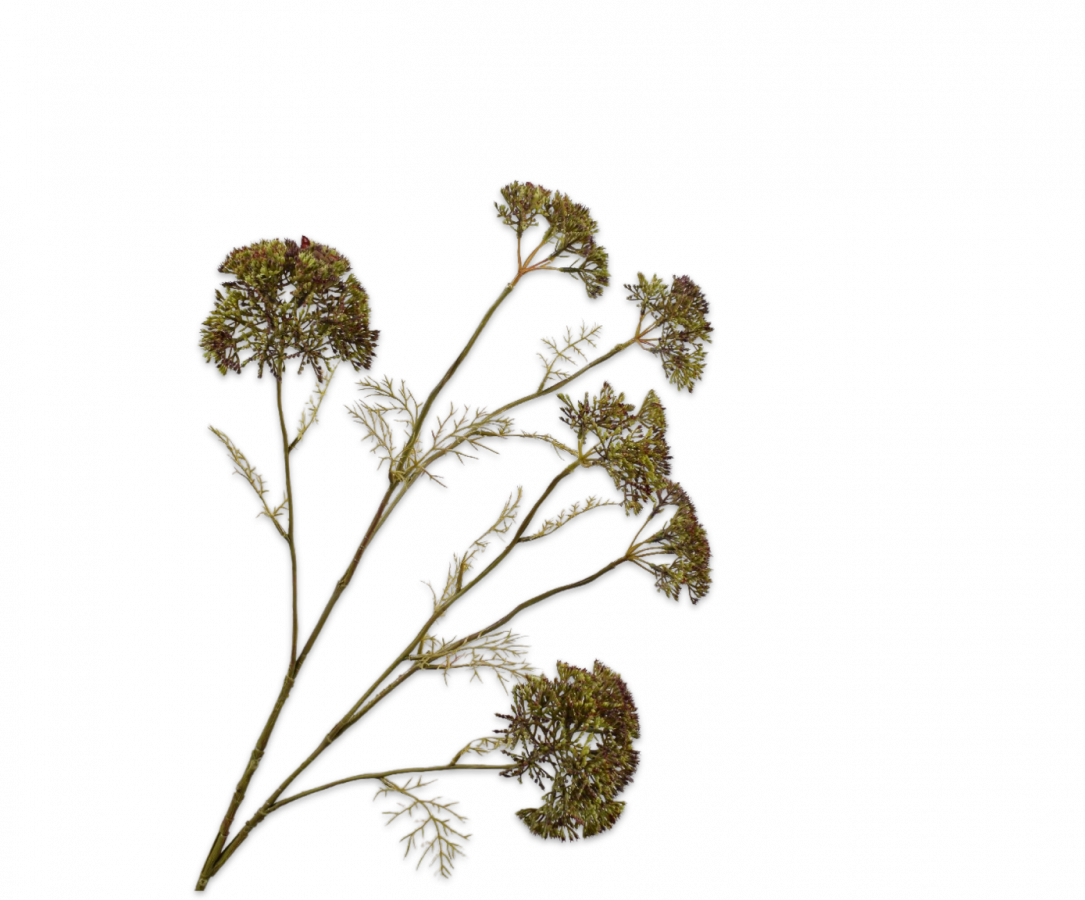 Dille Tak paars 102cm