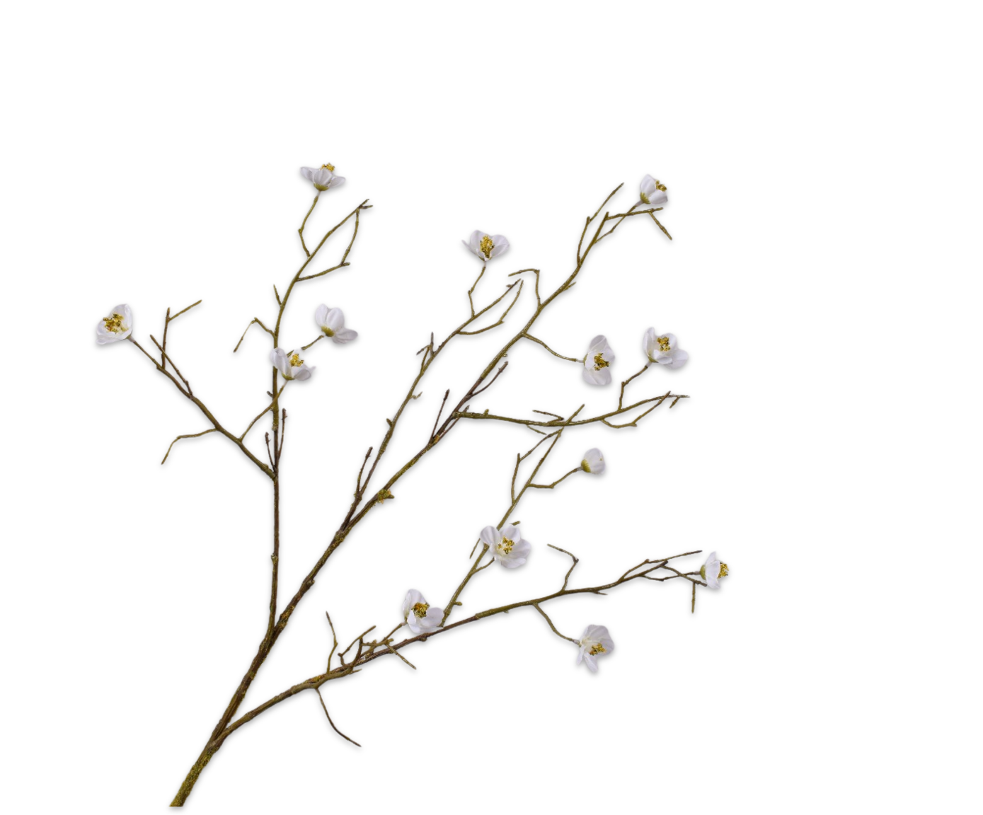 Bloesem Tak wit 74cm