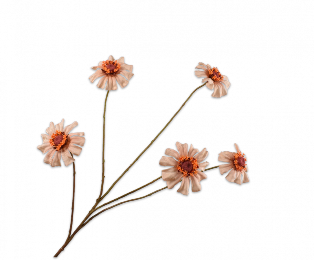 Zinnia Tak perzik 89cm