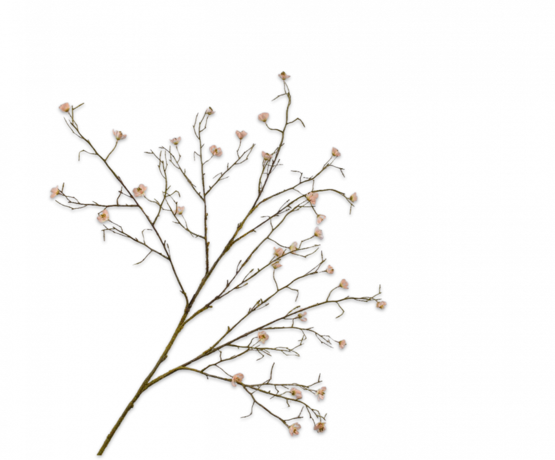 Bloesem Tak perzik 107cm