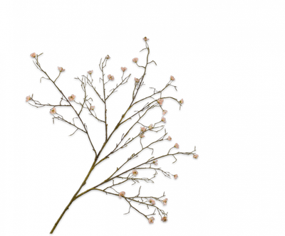 Bloesem Tak perzik 107cm