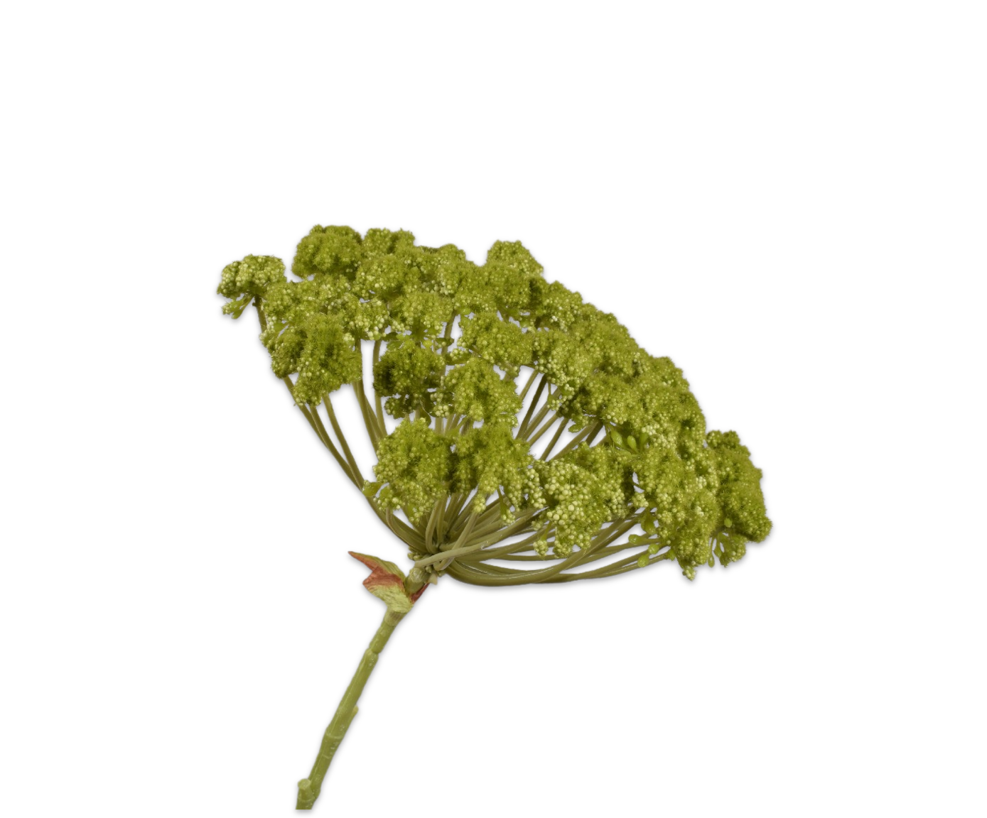 Dille Steel groen 85cm