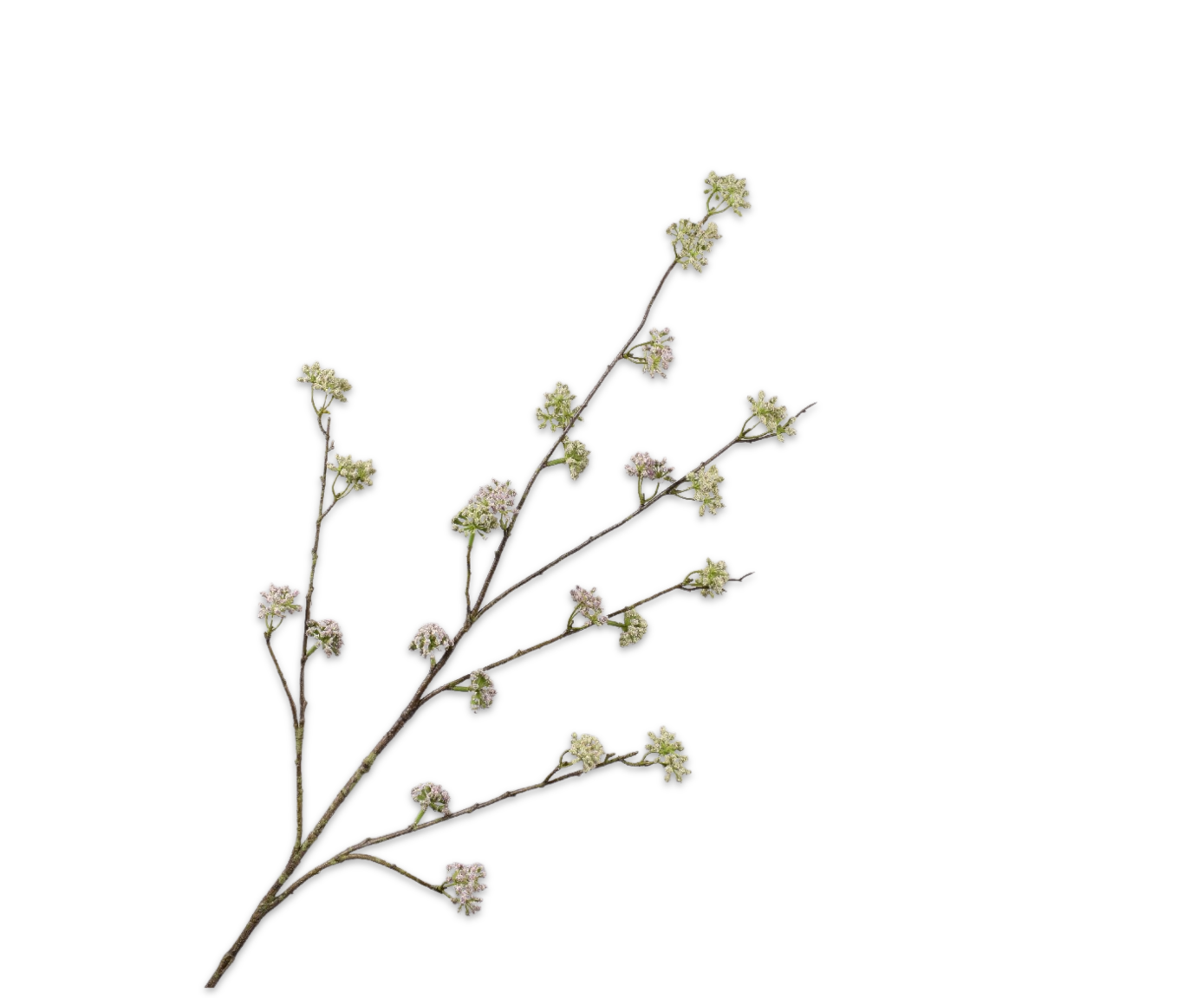 Dille Tak geel/roze 115 cm