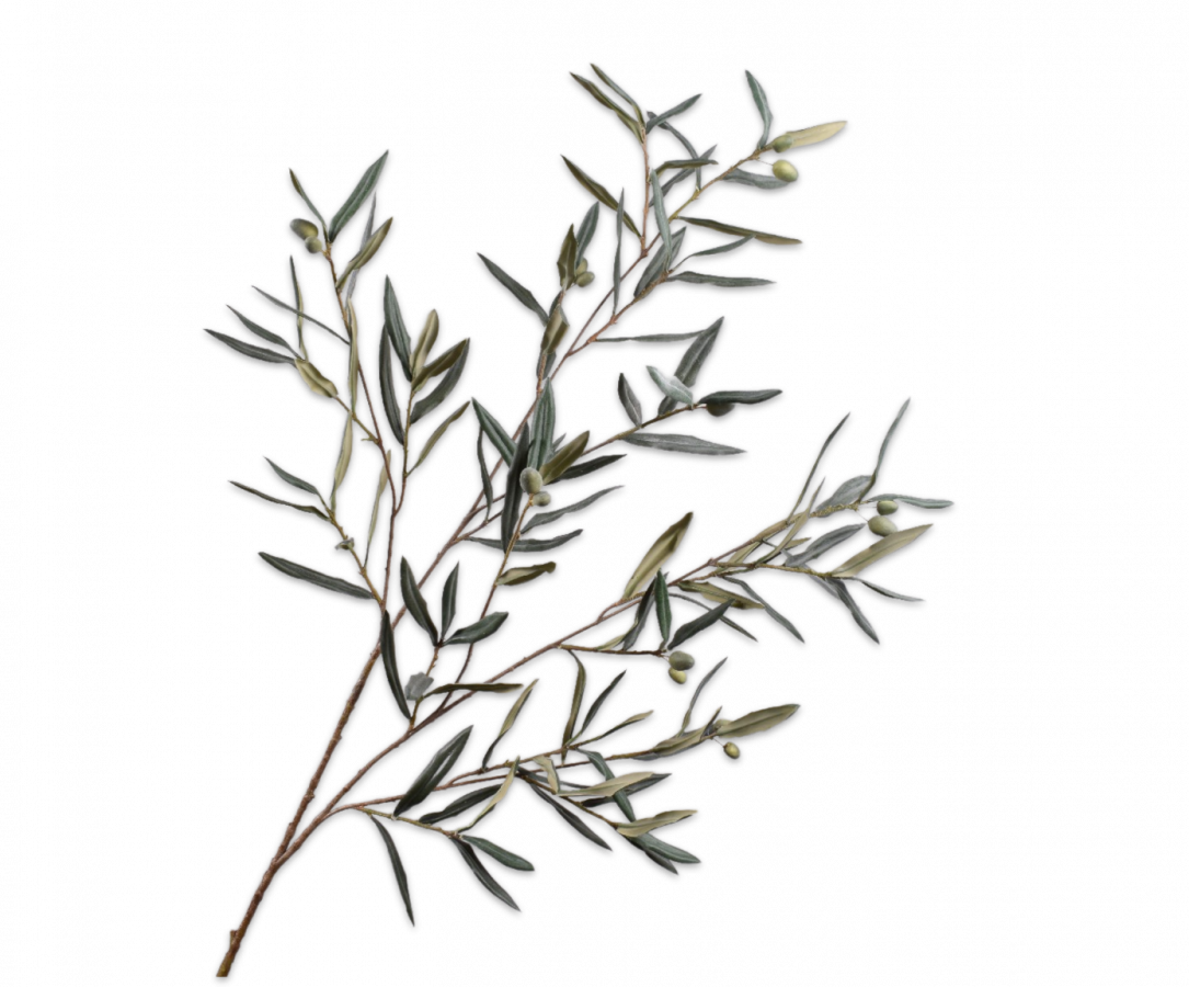 Olijf Tak groen/grijs 123cm