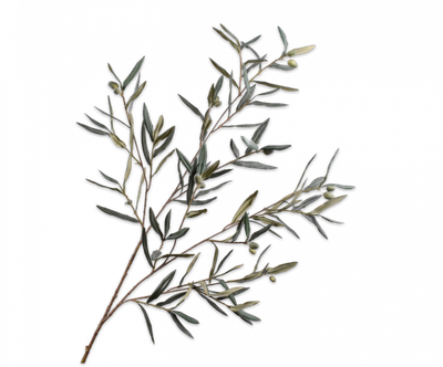 Olijf Tak groen/grijs 123cm
