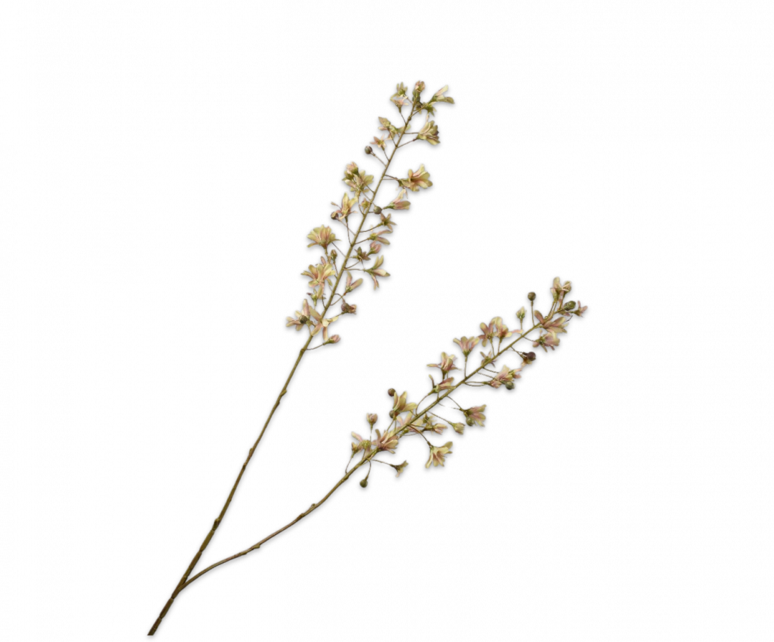 Hyacint Tak groen/roze 111cm