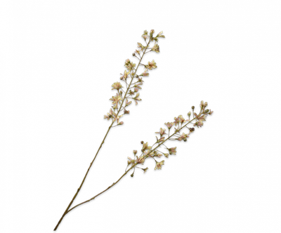 Hyacint Tak groen/roze 111cm