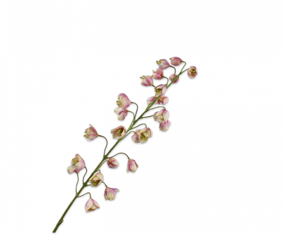 Fritillaria Tak roze 111cm