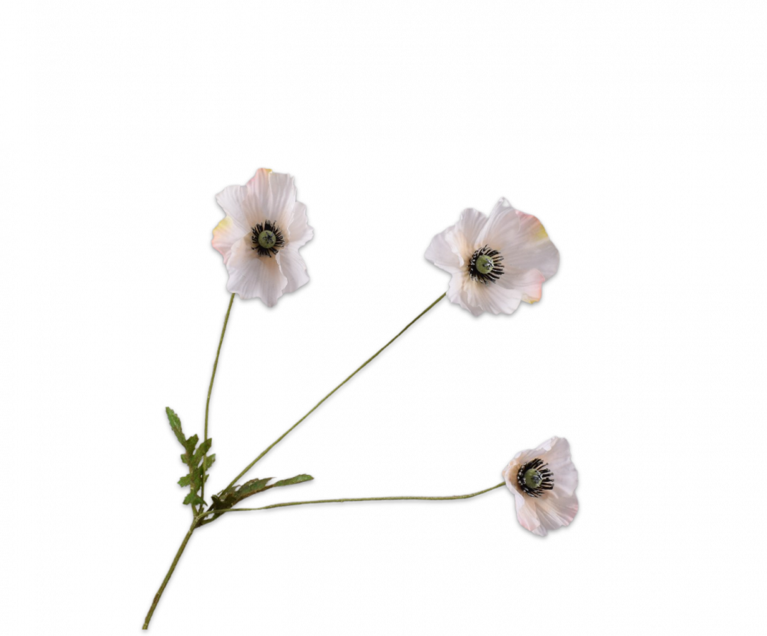 Klaproos Tak perzik 81cm