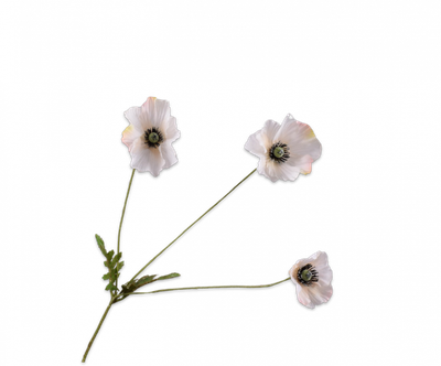 Klaproos Tak perzik 81cm