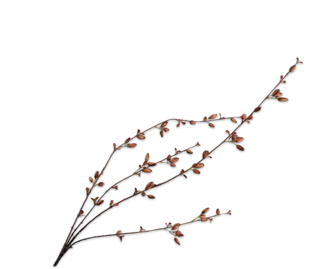 Rozenbottel Tak bruin 121cm
