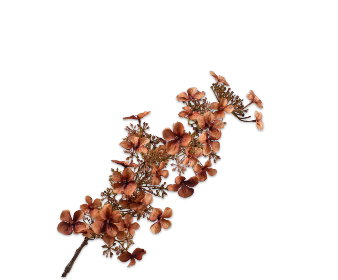 Hortensia Steel bruin 89cm