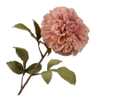 Dahlia Steel lila 83cm