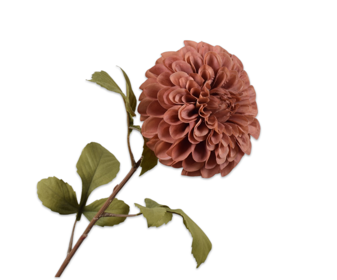 Dahlia Steel bruin 83cm