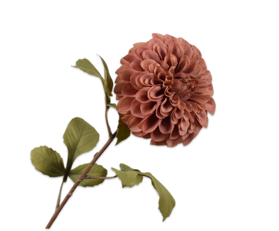 Dahlia Steel bruin 83cm