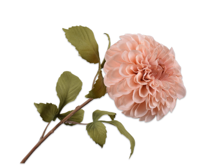 Dahlia Steel mauve 83cm