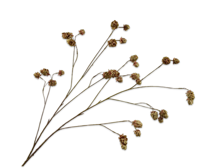 Silk-ka Hop Tak bruin/groen 109cm