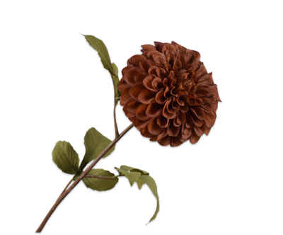 Dahlia Steel donkerbruin 83cm