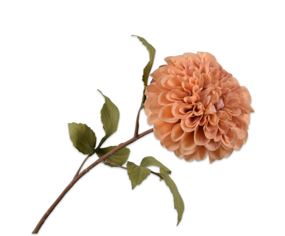 Dahlia Steel lichtbruin 83cm