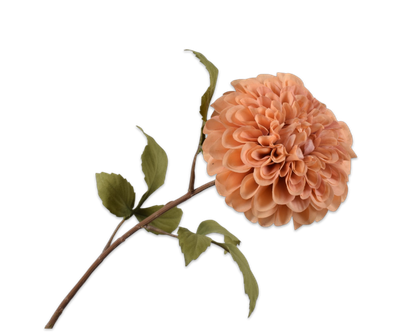 Dahlia Steel lichtbruin 83cm