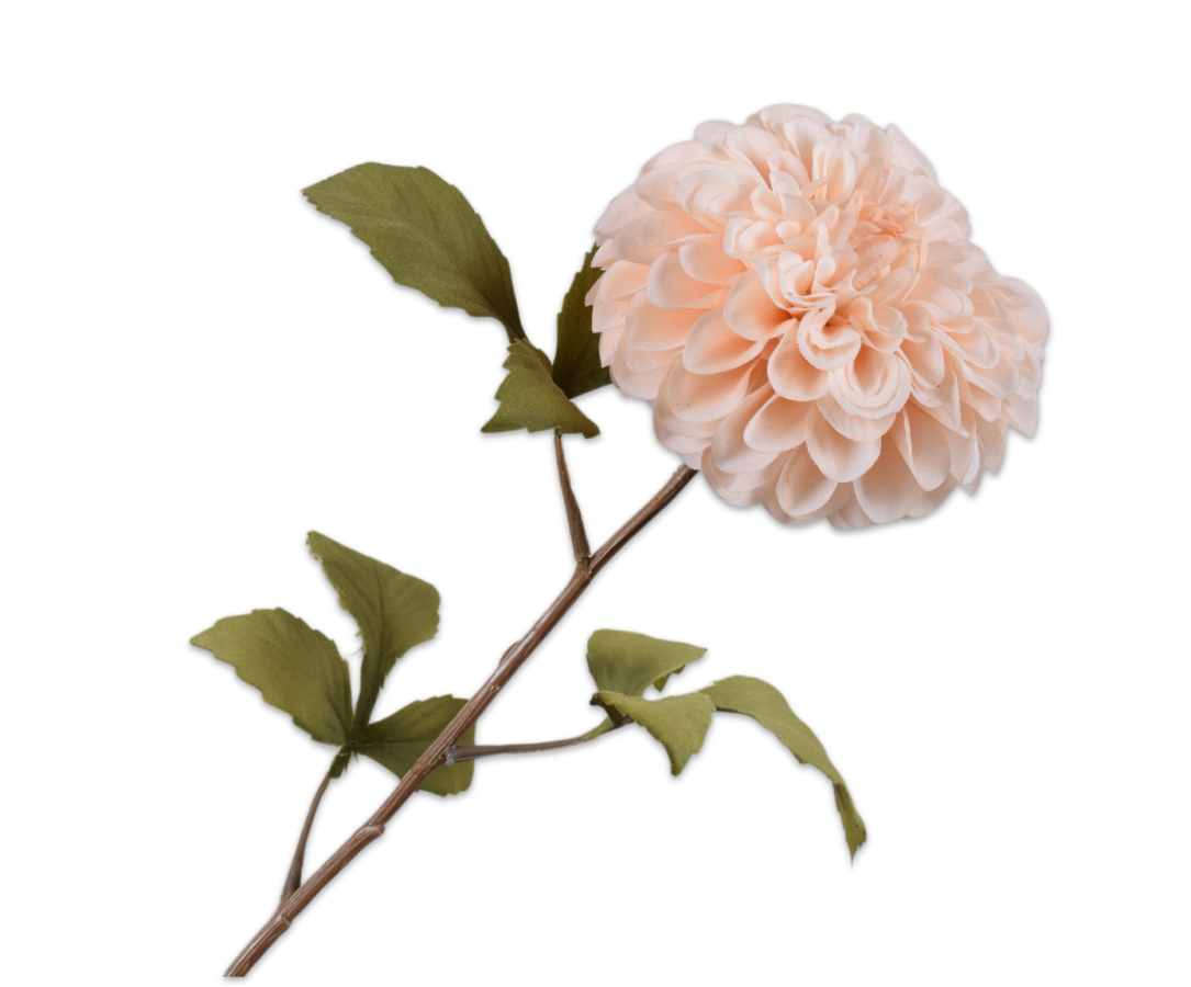 Dahlia Steel zalm 83cm