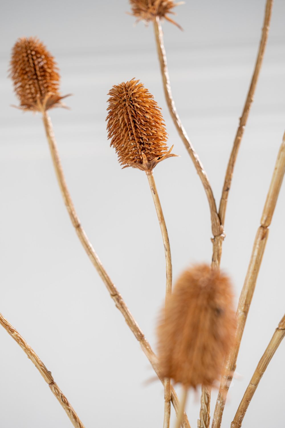 Silk-ka Distel Kunsttak Bruin 111 cm