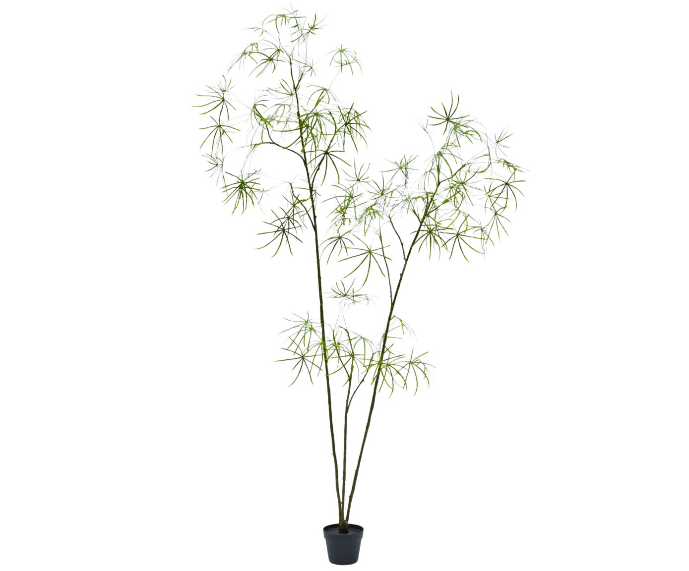 Silk-ka Kunstplant Schefflera H 223 cm