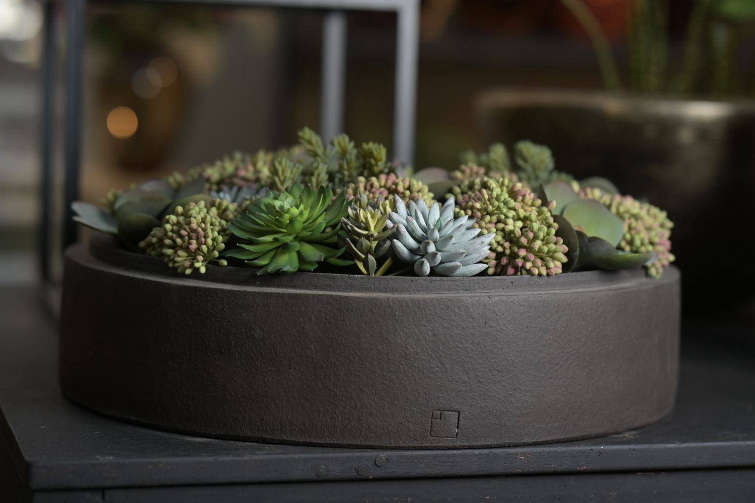 Schaal Atelier Vierkant met Vetplantjes