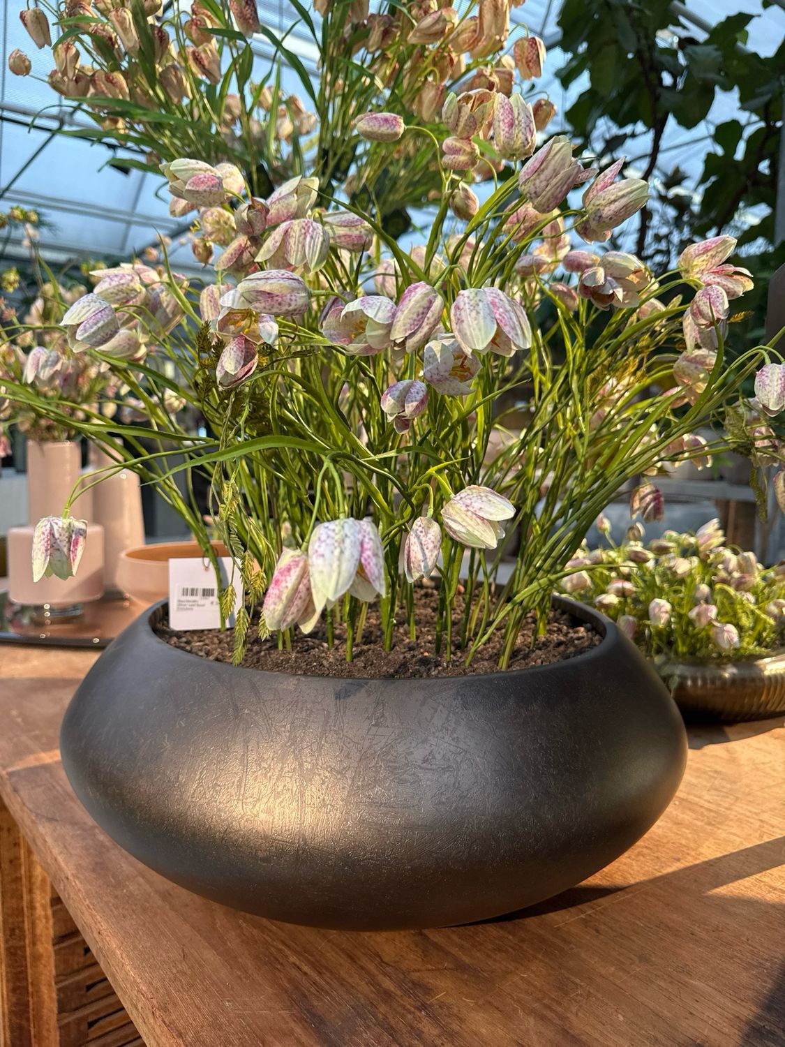 Baq Metallic Silver Leaf Bowl Frittularia