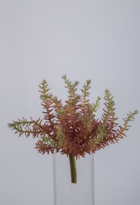 Meaty Plant Spray x22 20cm