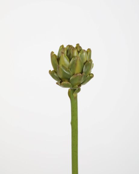 Artichok H 52