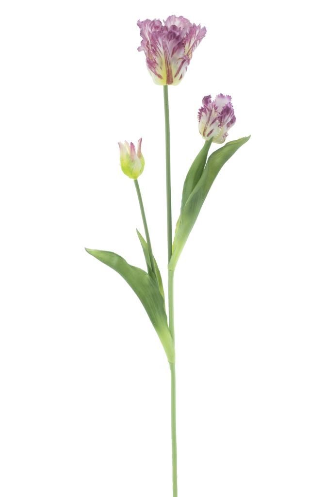 Tulp Parrot Sally purple – kunstbloem 71 cm