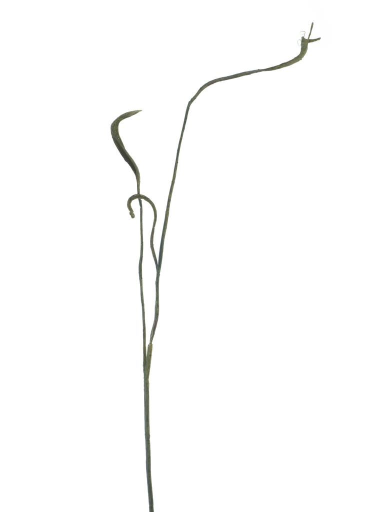 Wilgentak spray green/brown - 93 cm