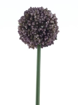 Allium spray Mura lilac 66cm