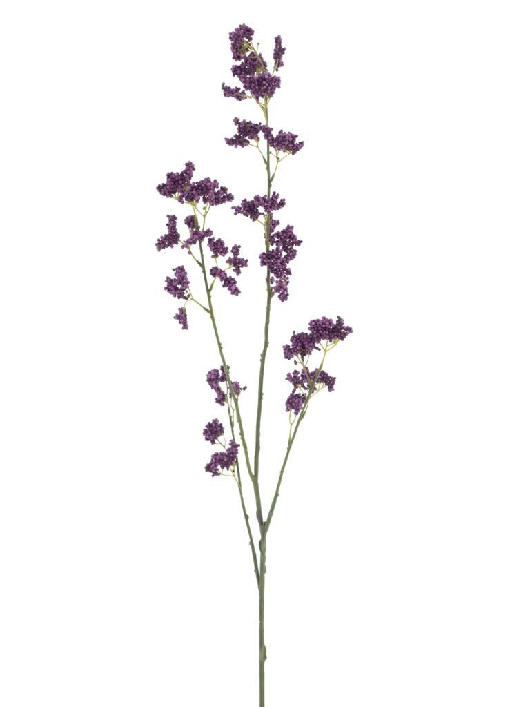 Achillea (Duizendblad) spray aubergine – 110 cm