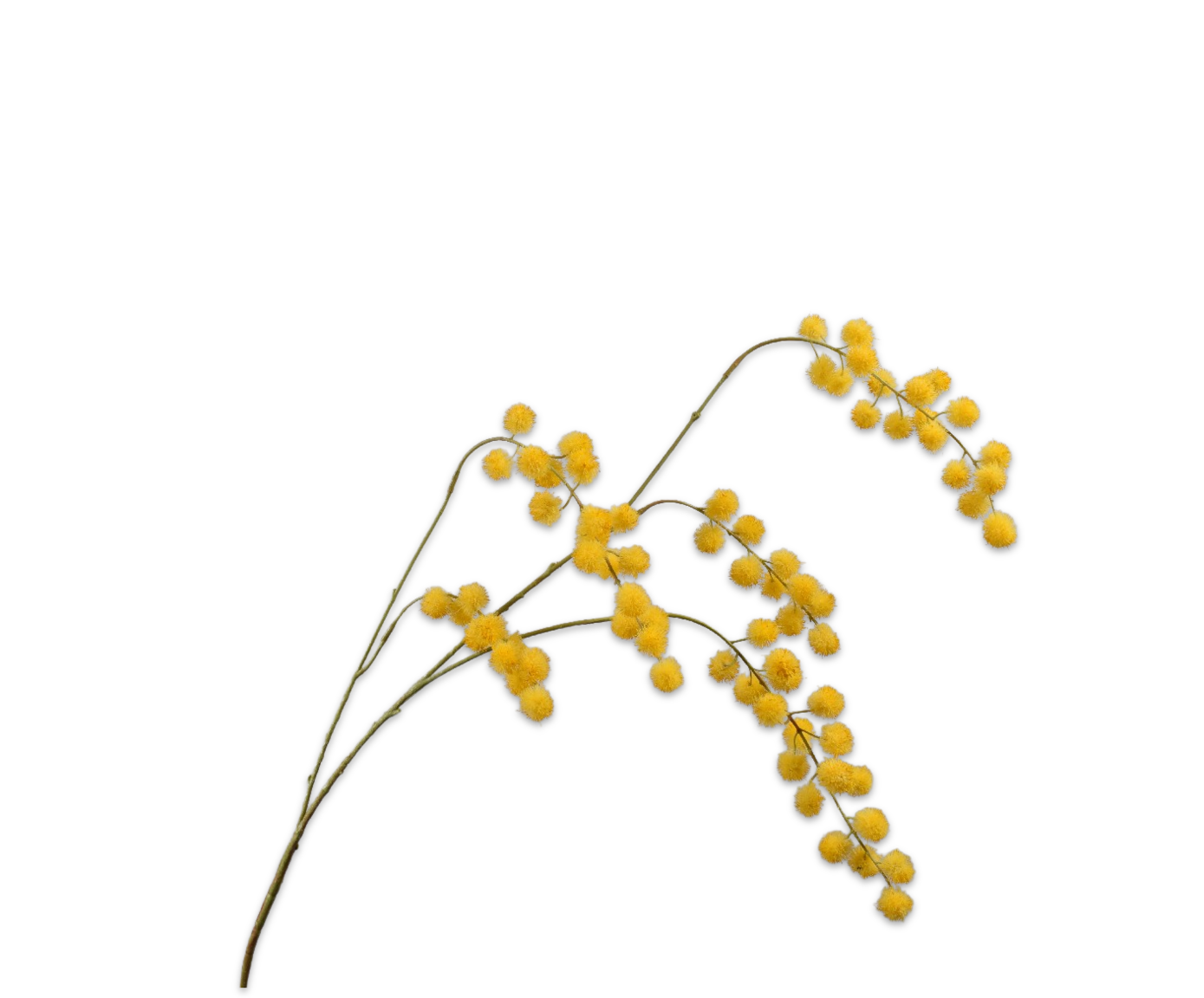 Silk-ka Kunst Mimosa Tak Geel 103 cm – Zijden Bloesemtak