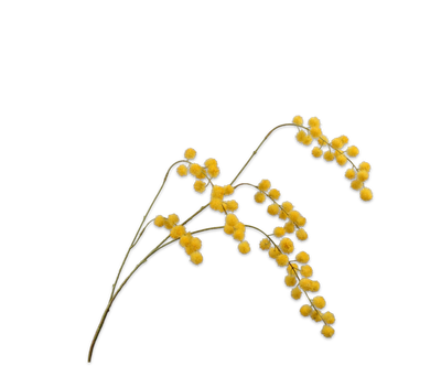 Silk-ka Kunst Mimosa Tak Geel 103 cm – Zijden Bloesemtak