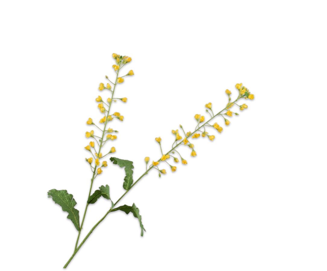Silk-ka Kunst Primula Tak Geel 85 cm – Zijden Bloementak Voorjaar