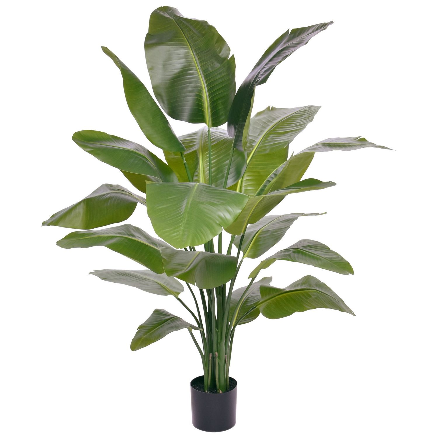 Strelitzia Nicolai kunstpalm 155 cm (XL)