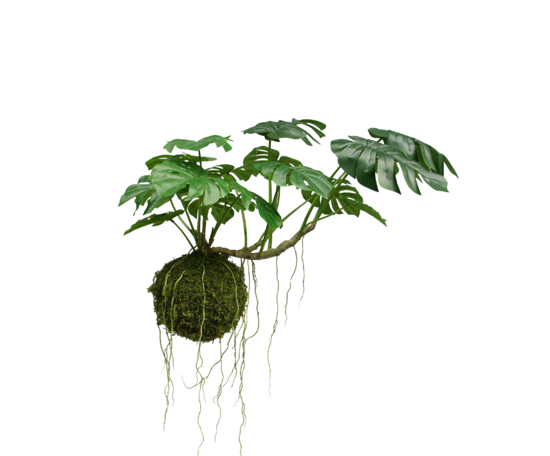 Silk-ka Monstera Hangplant Groen 60 cm – Luxe kunstplant met luchtwortels
