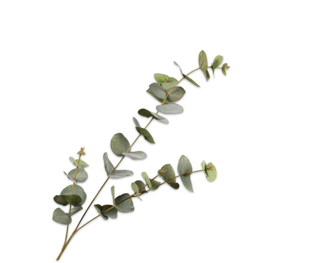 Silk-ka Eucalyptus Tak Groen 86 cm – Realistische Kunsttak met Zachte Bladtinten