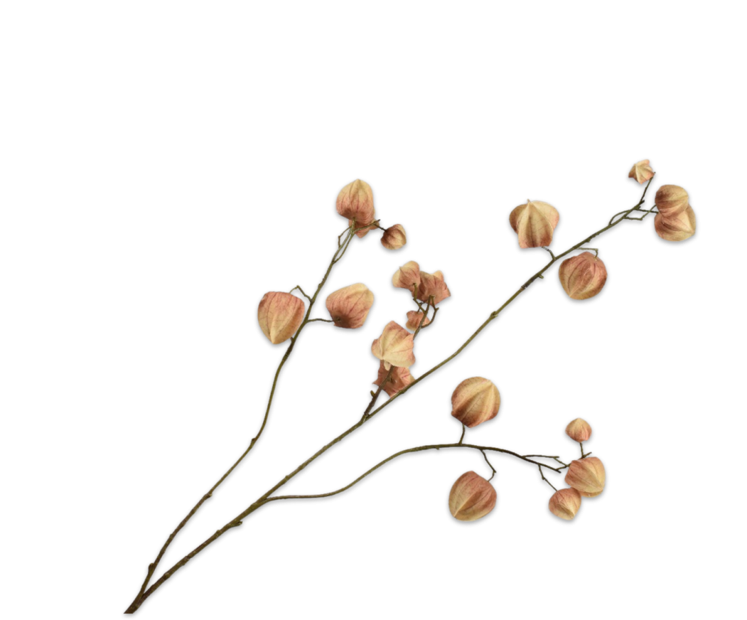 Silk-ka Physalis Kunsttak Lichtbruin 92 cm – Decoratieve Lampionplant Tak