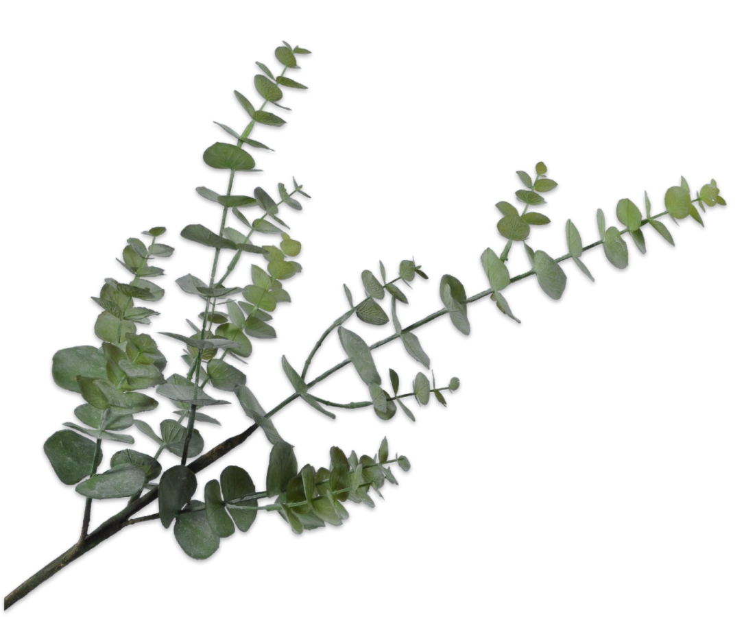 Silk-ka Eucalyptus Kunsttak Groen 81 cm