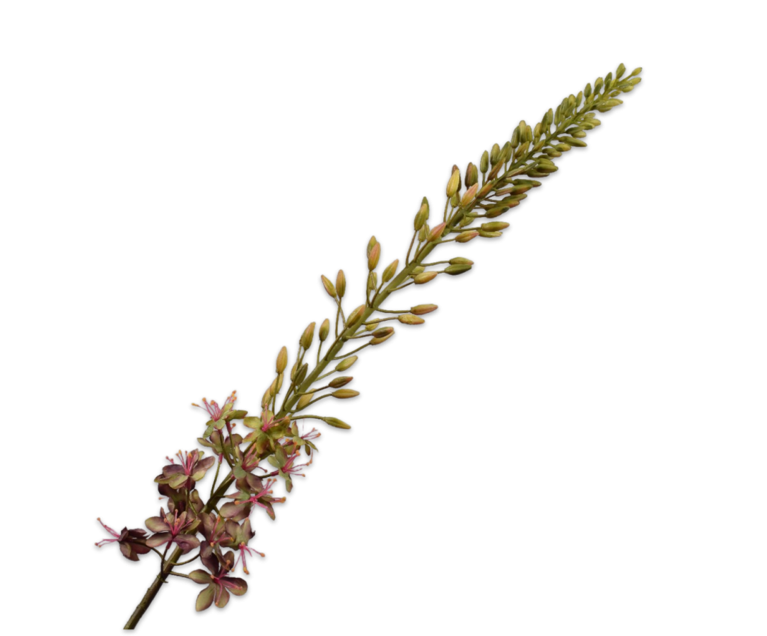 Silk-ka Eremurus Kunstbloem Paars-Groen 107 cm