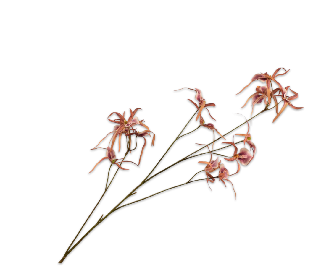 Silk-ka Orchidee Kunsttak Bruin 98 cm – Unieke Luxe Orchidee Bloemtak
