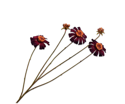 Silk-ka Zinnia Kunsttak Bordeaux 89 cm – Luxe Donkerrode Bloemtak