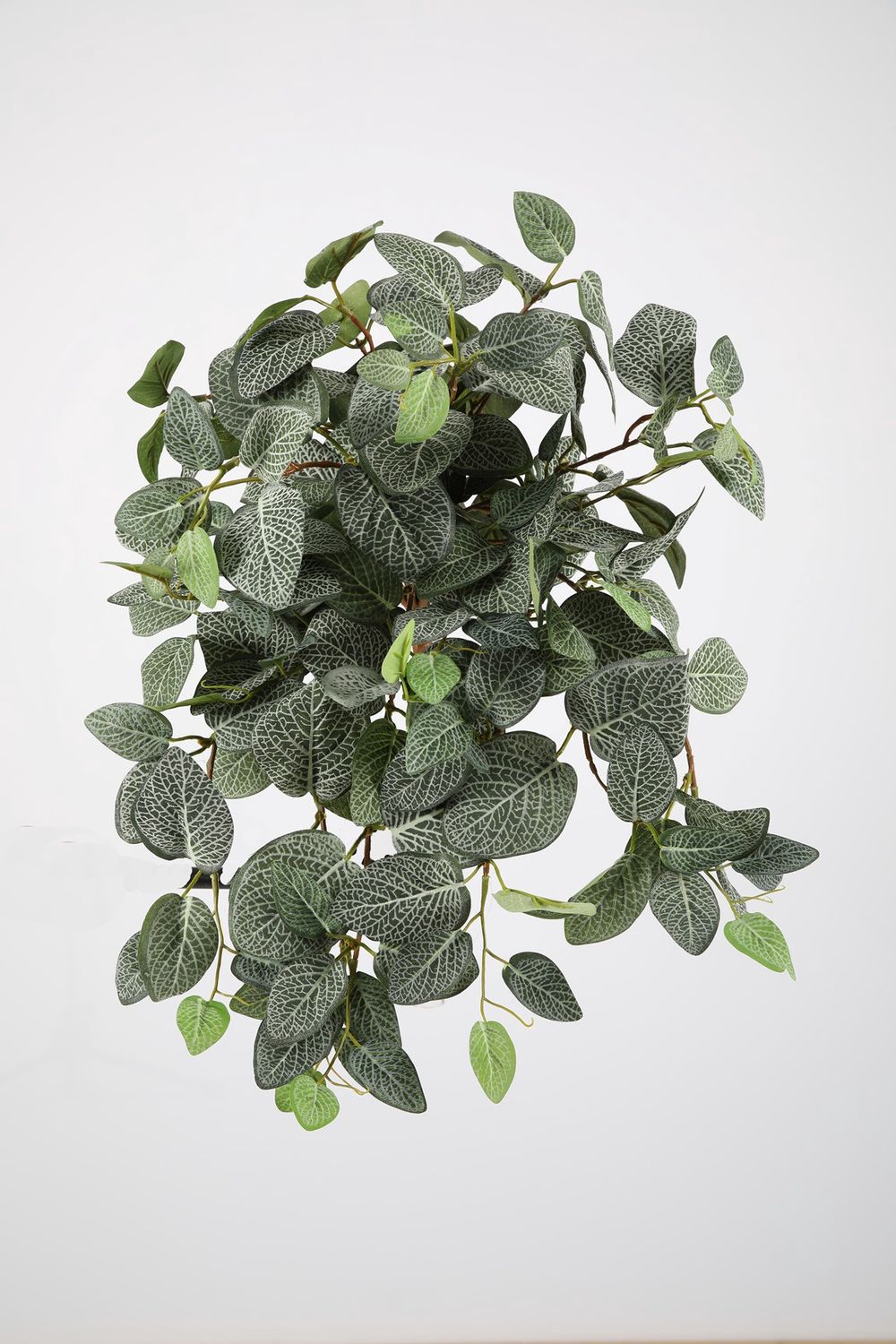 UV Hangplant Fittonia Bush 55 cm – Kunst Hangplant voor Buiten