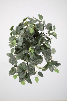 UV Hangplant Fittonia Bush 55 cm – Kunst Hangplant voor Buiten
